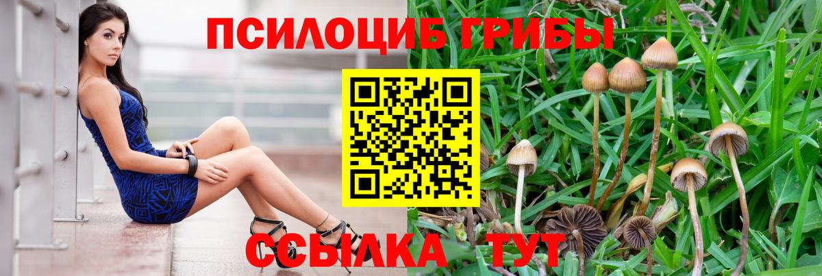 Псилоцибиновые грибы GOLDEN TEACHER Алексеевка